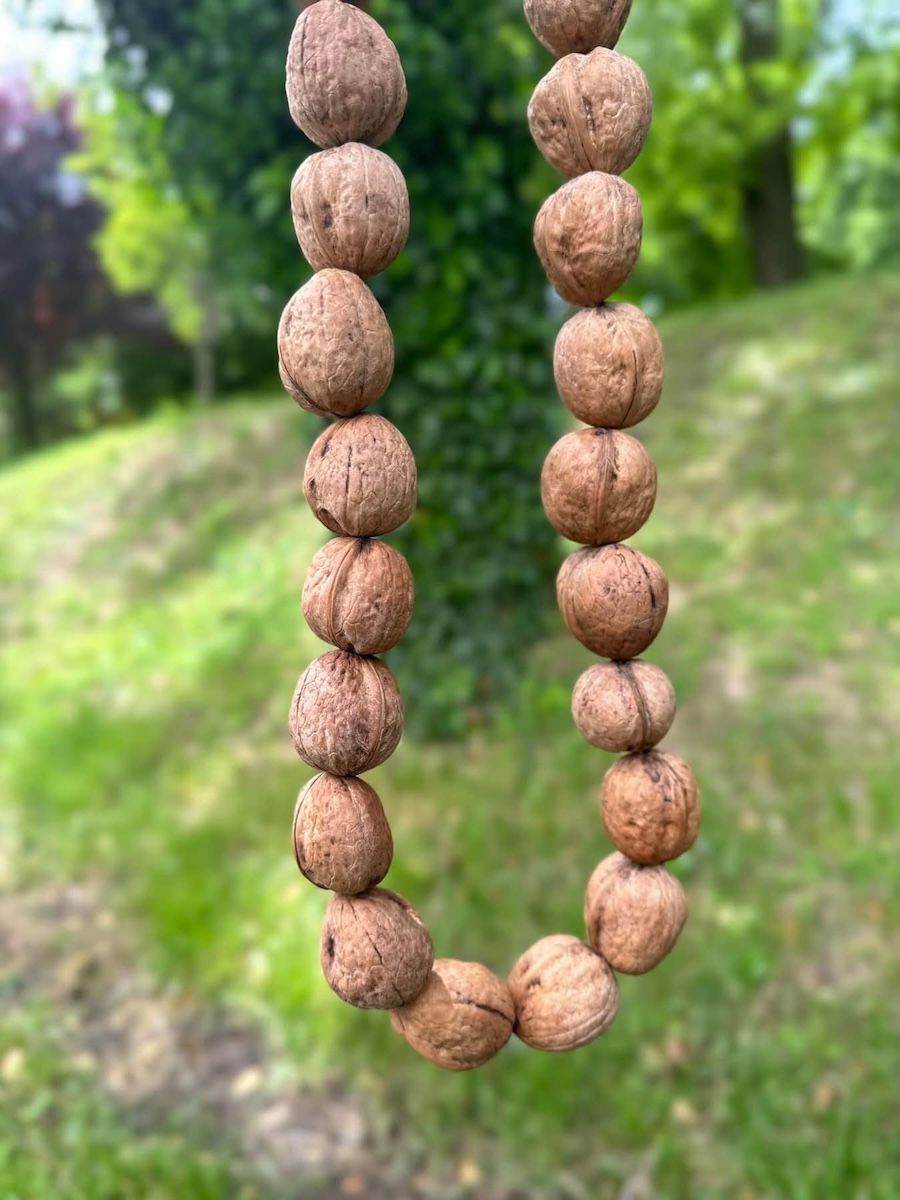 Grotulja - necklace crafted from walnuts